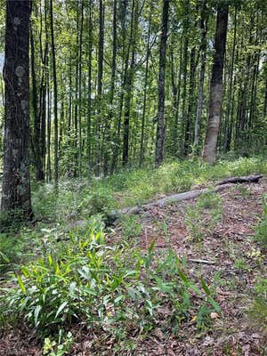 LOT 11 DOGWOOD ROAD, MORAVIAN FALLS, NC 28654 - Image 1