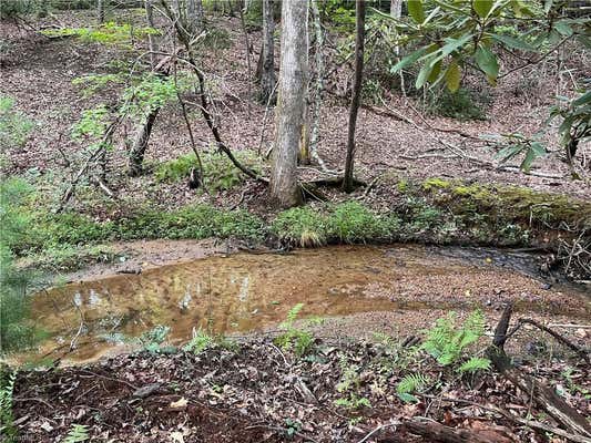 TBD CARSON CREEK ROAD, LOWGAP, NC 27024, photo 2 of 31