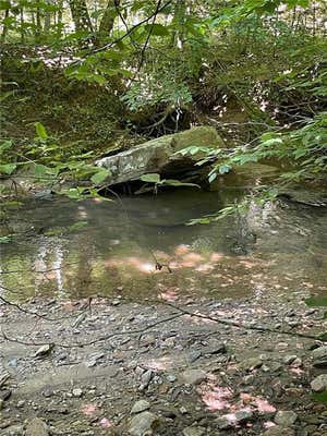 000 OLD ROCKFORD ROAD, DOBSON, NC 27017, photo 2 of 47