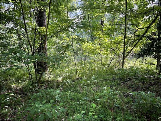 LOT 8 DOGWOOD ROAD, MORAVIAN FALLS, NC 28654, photo 5 of 17