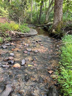 TBD CARSON CREEK ROAD, LOWGAP, NC 27024, photo 4 of 31