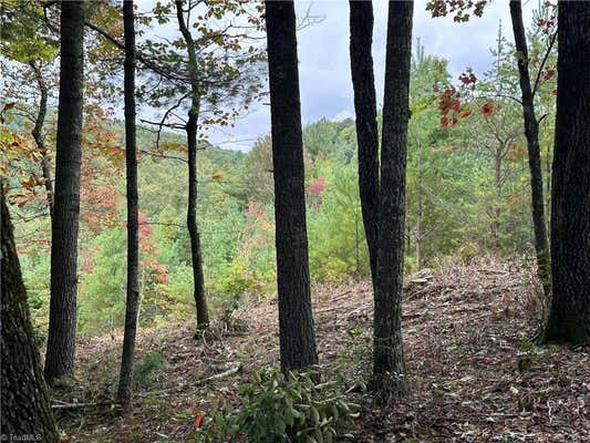 LOT 26E CASCADE RUN, PURLEAR, NC 28665, photo 4 of 20