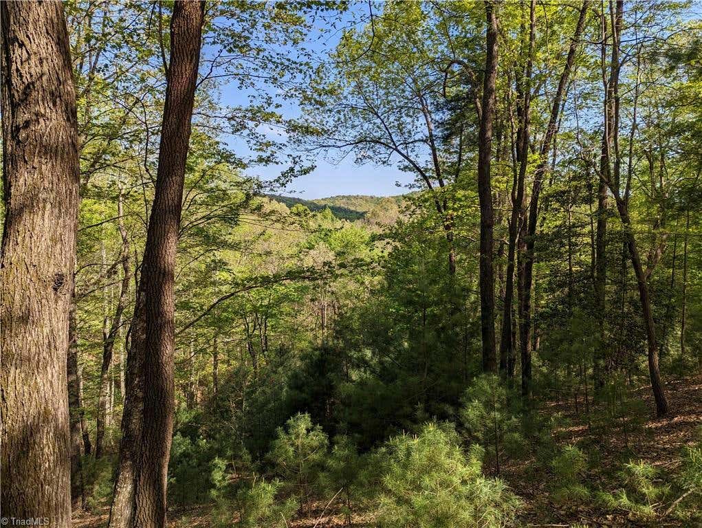 TBD SUTTERS RIDGE ROAD # LOT 94, MCGRADY, NC 28649, photo 1 of 10