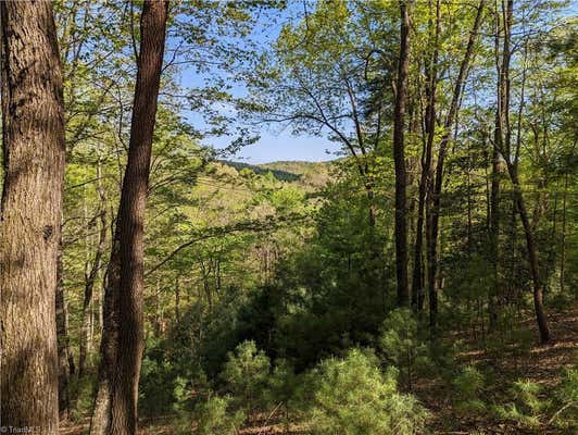 TBD SUTTERS RIDGE ROAD # LOT 94, MCGRADY, NC 28649 - Image 1