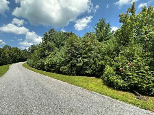 LOT 31E CASCADE RUN, PURLEAR, NC 28665 - Image 1