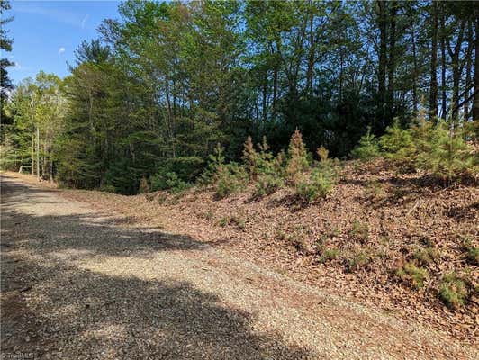 TBD SUTTERS RIDGE ROAD # LOT 94, MCGRADY, NC 28649, photo 4 of 10