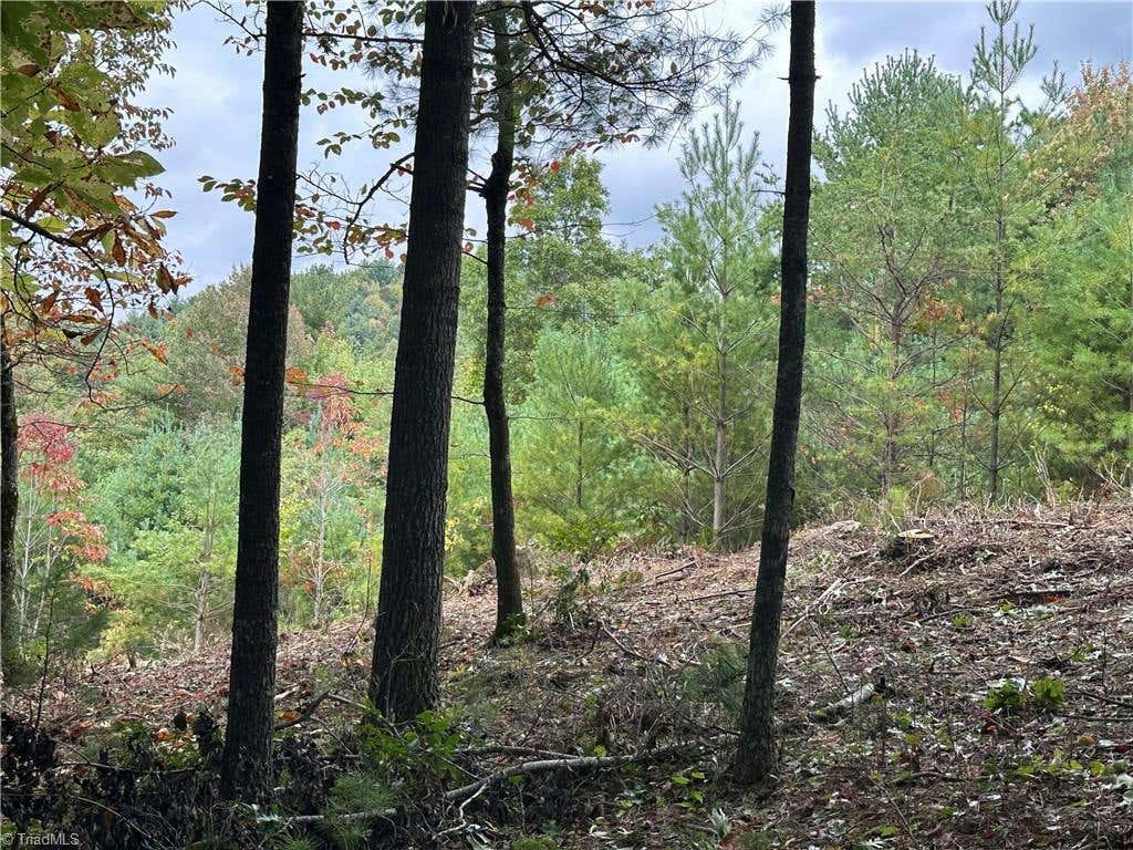 LOT 26E CASCADE RUN, PURLEAR, NC 28665, photo 1 of 20