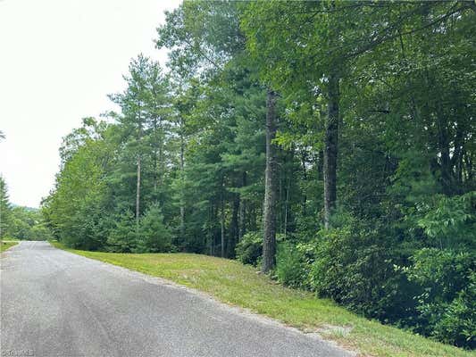 LOT 48E CASCADE RUN, PURLEAR, NC 28665 - Image 1