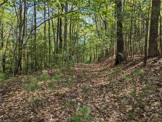 TBD SUTTERS RIDGE ROAD # LOT 94, MCGRADY, NC 28649, photo 5 of 10