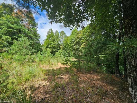 TBD MERTIE ROAD, MILLERS CREEK, NC 28651 - Image 1