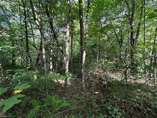 LOT 15C CIELO RIDGE WAY, PURLEAR, NC 28665, photo 5 of 24