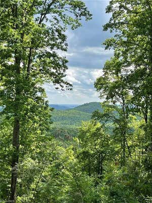 LOT 8 DOGWOOD ROAD, MORAVIAN FALLS, NC 28654, photo 2 of 17