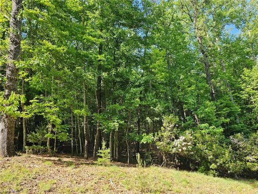 LOT 2 BALDWIN DRIVE, LOWGAP, NC 27024 - Image 1