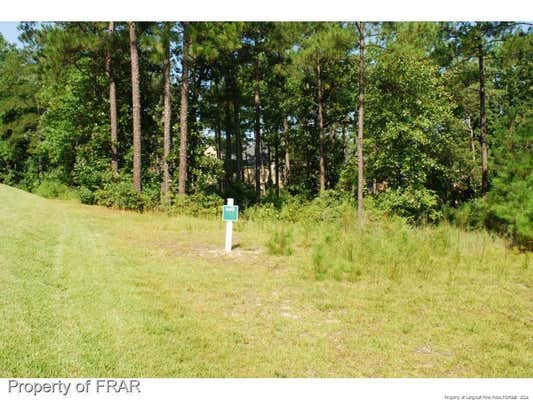 232 BROADLAKE LN, SPRING LAKE, NC 28390 - Image 1