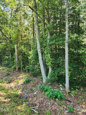 LOT 1 NC 186, GARYSBURG, NC 27831, photo 5 of 9