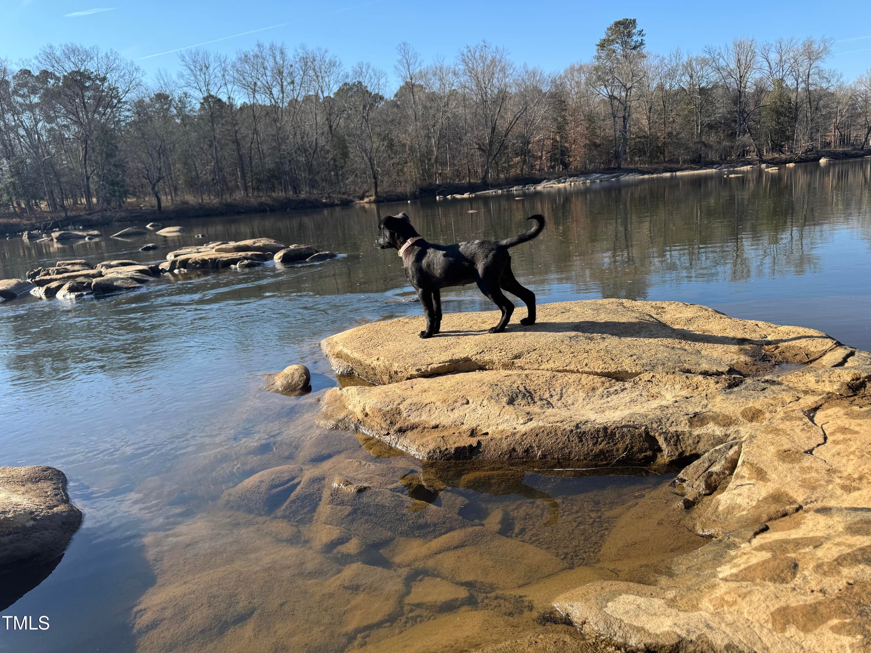 Pittsboro, North Carolina, 27312, United States, 3 Bedrooms Bedrooms, ,3 BathroomsBathrooms,Residential,Active,1702457