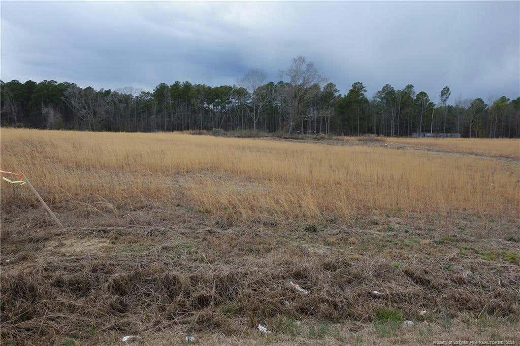 TRACT 3 ODUM ROAD, LUMBERTON, NC 28358, photo 1 of 3