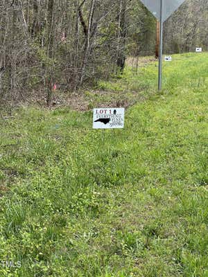 LOT 1 ELMER MOORE ROAD, SILER CITY, NC 27344 - Image 1