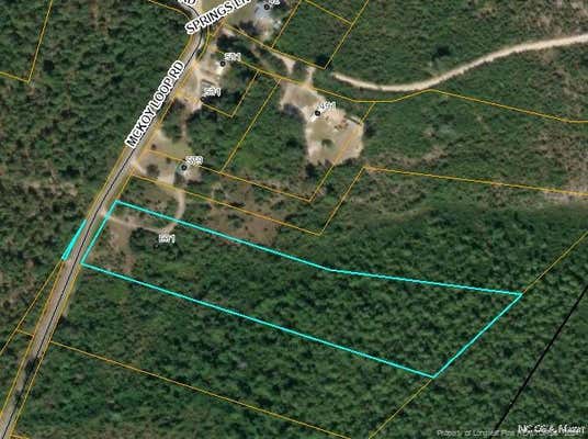 0 MCKOY LOOP ROAD, IVANHOE, NC 28447 - Image 1