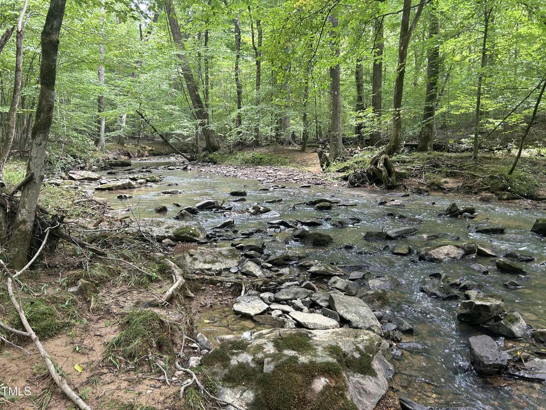 O LOT 1 BUCKHORN ROAD, EFLAND, NC 27243, photo 1 of 11