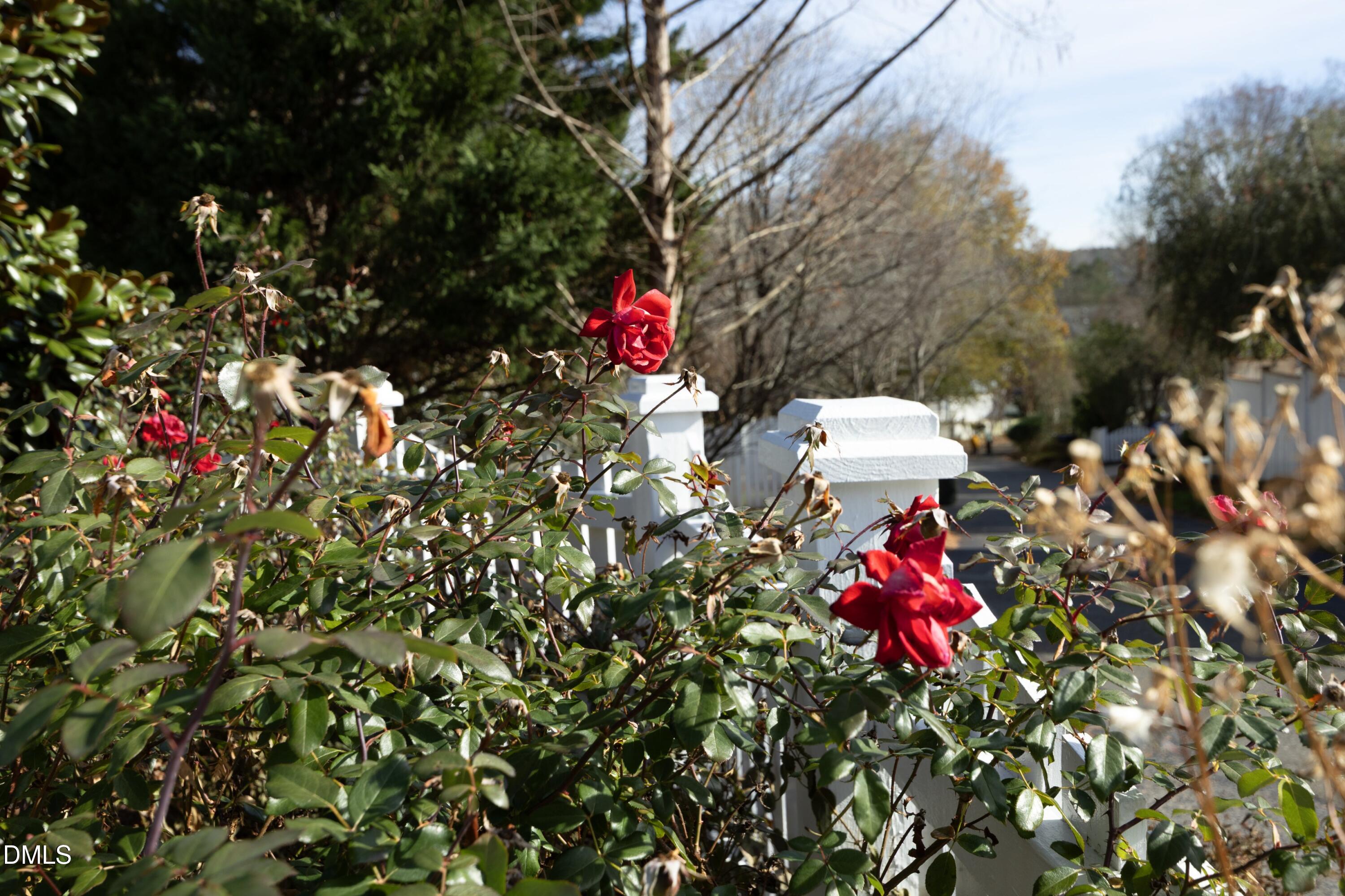 Chapel Hill, North Carolina, 27516, United States, 4 Bedrooms Bedrooms, ,3 BathroomsBathrooms,Residential,Active,2002351