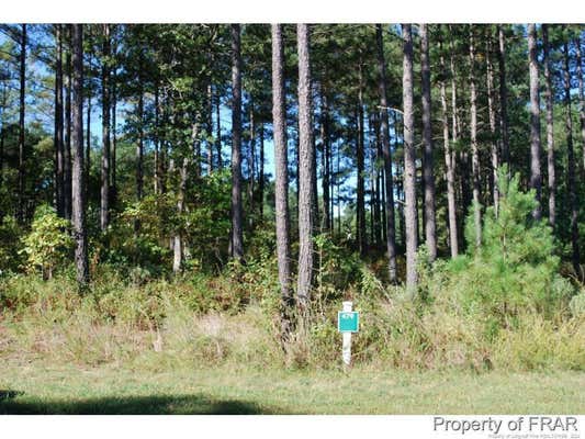 45 BROADLAKE LN, SPRING LAKE, NC 28390 - Image 1