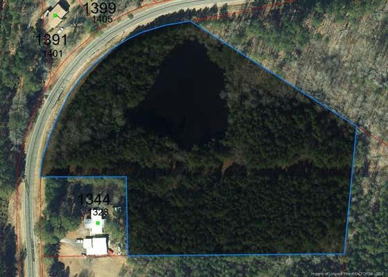 0 LOWER MONCURE ROAD, SANFORD, NC 27330 - Image 1