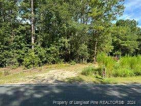 2289 FARRIER LN, STEDMAN, NC 28391 - Image 1