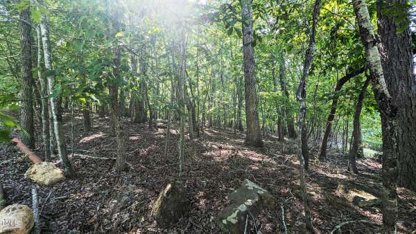 TBD FIRE TOWER DRIVE, ROUGEMONT, NC 27572 - Image 1