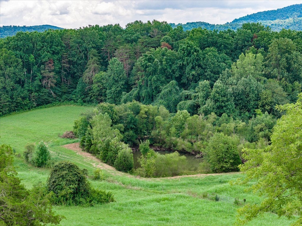 Byrdstown, Tennessee, 38549, United States, 3 Bedrooms Bedrooms, ,3 BathroomsBathrooms,Residential,Active,1912818