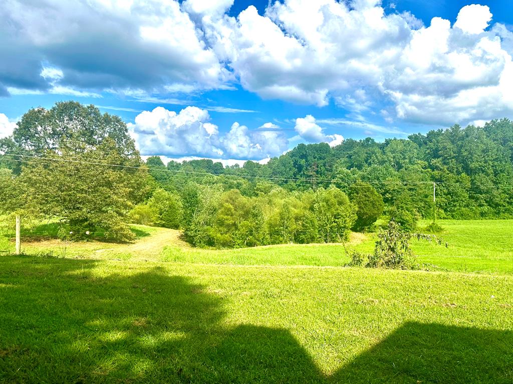 Byrdstown, Tennessee, 38549, United States, 3 Bedrooms Bedrooms, ,3 BathroomsBathrooms,Residential,Active,1912818