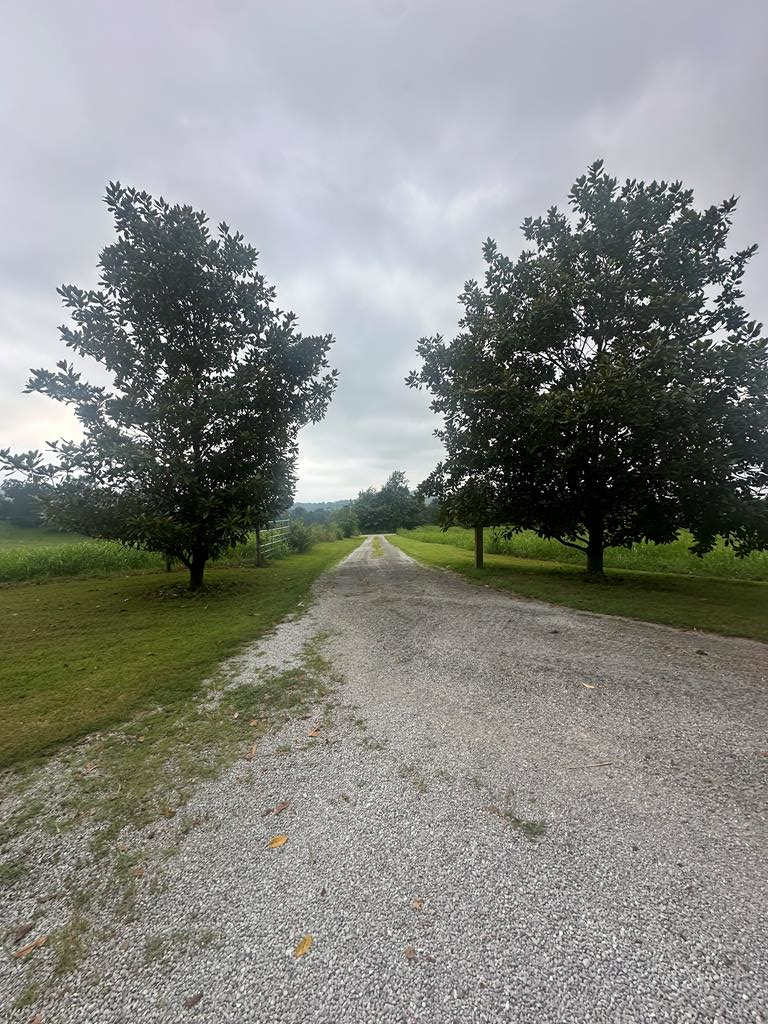 Byrdstown, Tennessee, 38549, United States, 3 Bedrooms Bedrooms, ,3 BathroomsBathrooms,Residential,Active,1912818