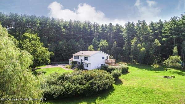 99 E RED MILL RD, GREENVILLE, NY 12083 - Image 1