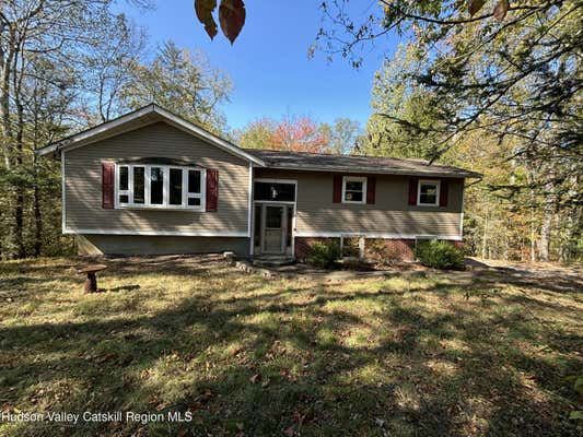 11 COLEMAN RD, HYDE PARK, NY 12538 - Image 1