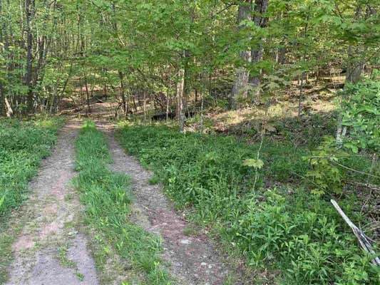 LOT 7 JOHN B HEWITT SPUR, ROXBURY, NY 12474 - Image 1