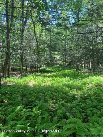 TBD W OHAYO MOUNTAIN ROAD, WOODSTOCK, NY 12498, photo 1 of 6