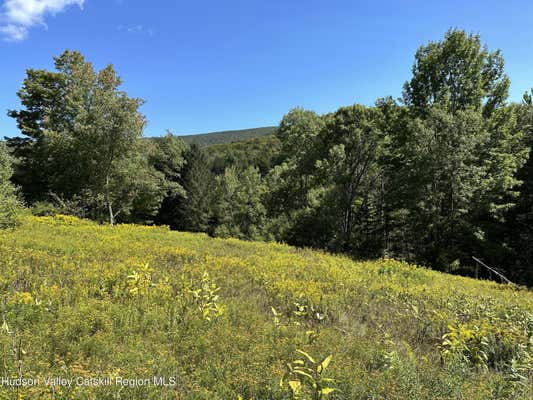 TBD TODD MOUNTAIN ROAD, ARKVILLE, NY 12406 - Image 1