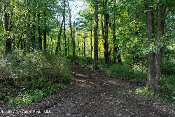 TBD BAND CAMP ROAD, SAUGERTIES, NY 12477, photo 3 of 12