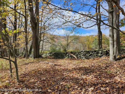 TBD DIMMICK MOUNTAIN ROAD, FLEISCHMANNS, NY 12430 - Image 1