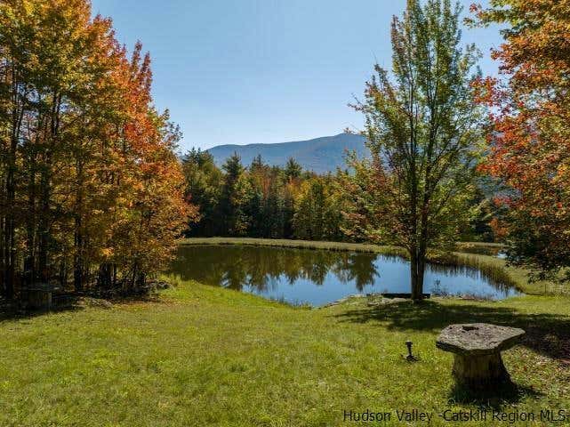 184 CLOOS ROAD, JEWETT, NY 12444, photo 1 of 33