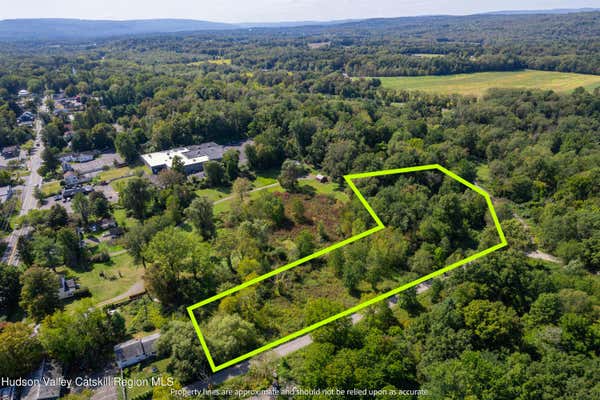 TBD HARDENBURGH DRIVE, LOT #8, STONE RIDGE, NY 12484 - Image 1