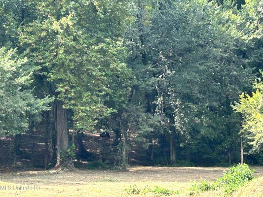 1 FOGG RD, NESBIT, MS 38651 - Image 1