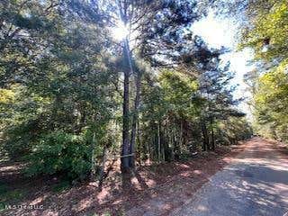 00 COUNTY LINE ROAD, SUMMIT, MS 39666, photo 5 of 21