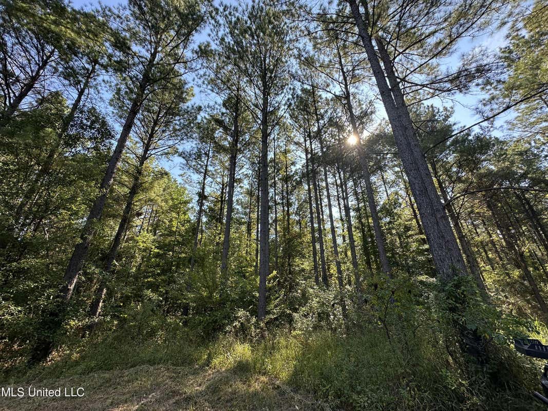 FIRETOWER ROAD ROAD, CAMDEN MS 39045, CAMDEN, MS 39045, photo 1 of 13