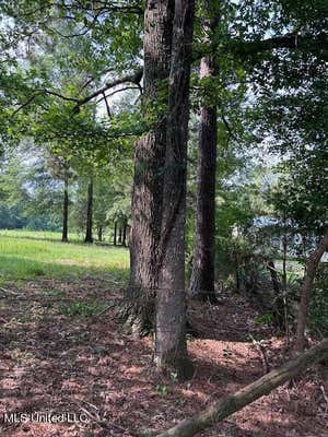 0 KITCHENS ROAD, FLORENCE, MS 39073, photo 3 of 6