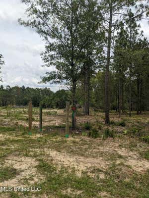 STANDARD CEMETERY ROAD, KILN MS 39556, KILN, MS 39556, photo 5 of 9