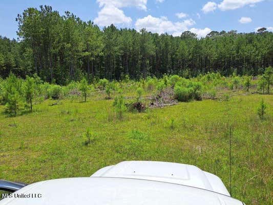 0 0 US 49 HIGHWAY, MENDENHALL, MS 39114 - Image 1