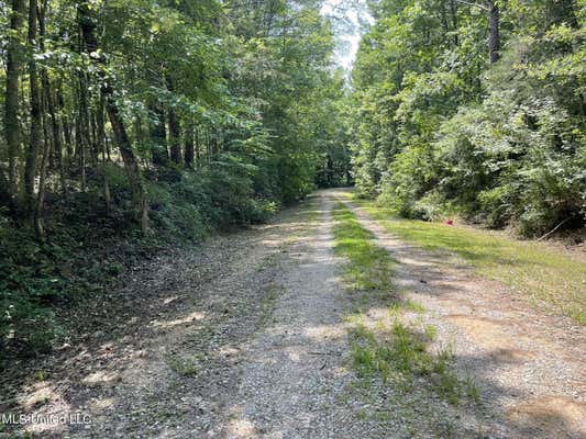 10290 ROAD 4306, UNION, MS 39365, photo 2 of 47