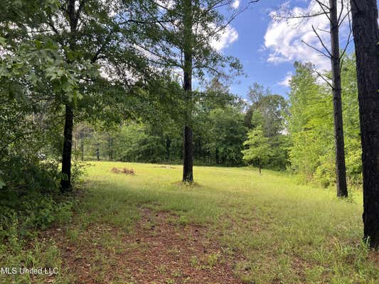 1101 COUNTY ROAD 437, ASHLAND, MS 38603 - Image 1