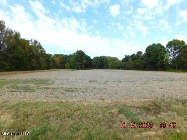 000 DEAN ROAD, NESBIT, MS 38651, photo 1